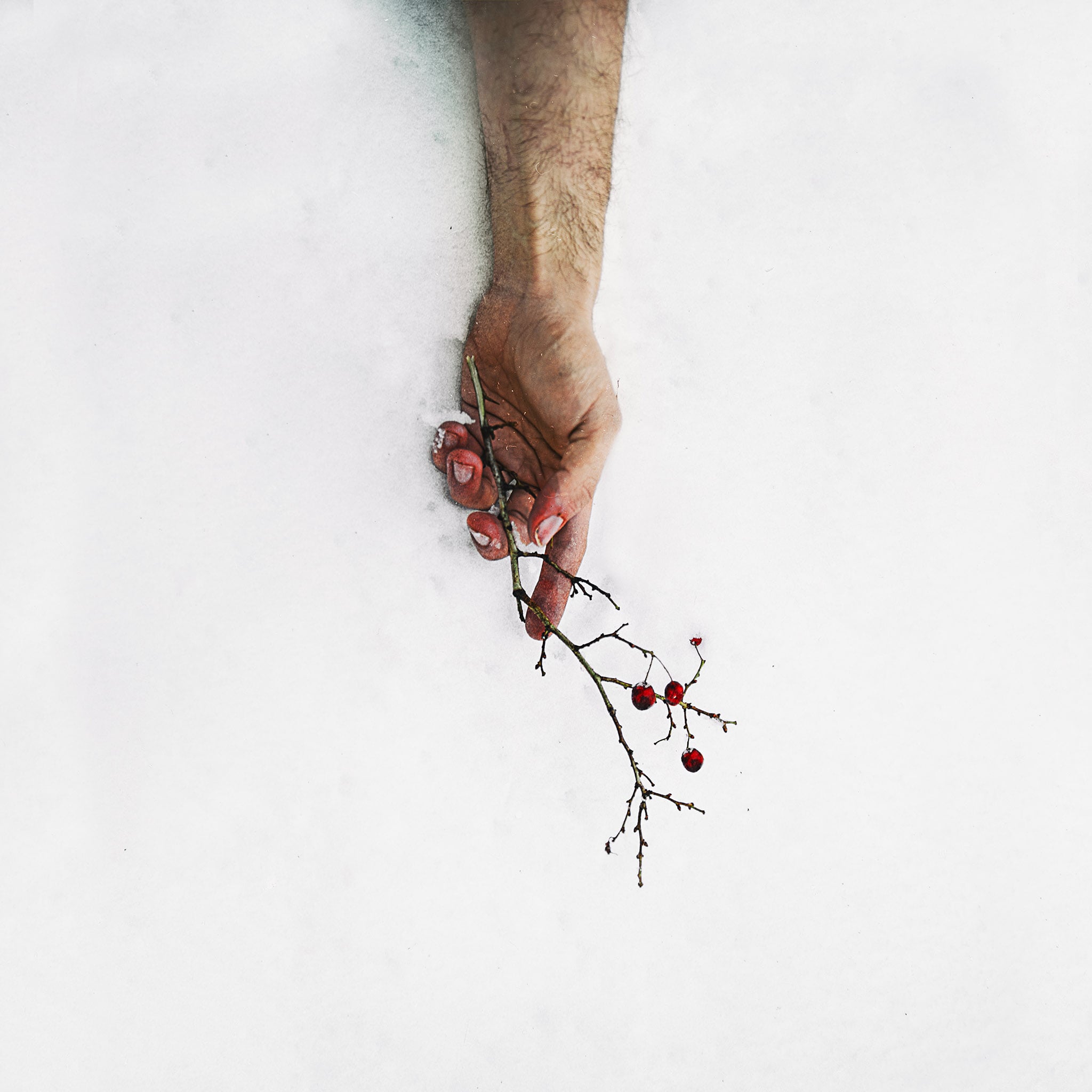 Markus Design G
